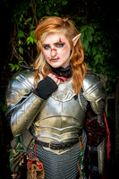 2025 Ohio Ren Faire