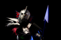 TPD_0010