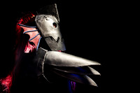 TPD_0026