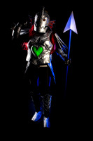 TPD_0013