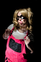 Harley 2014
