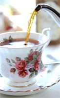 teacaddy