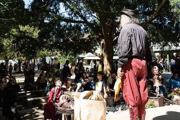 TPD08665_FULL