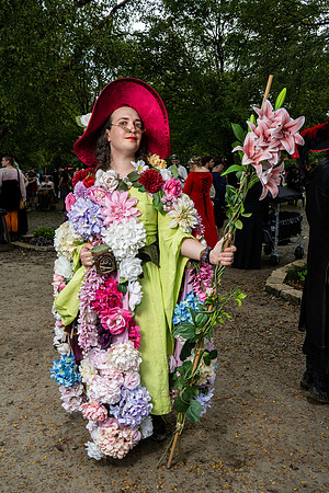 TPD06153_FULL