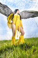 TPD_2704_LR_noWM
