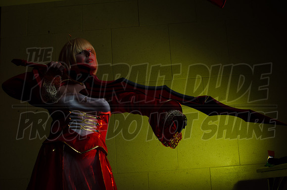 TPD_1031