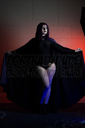 TPD_1238