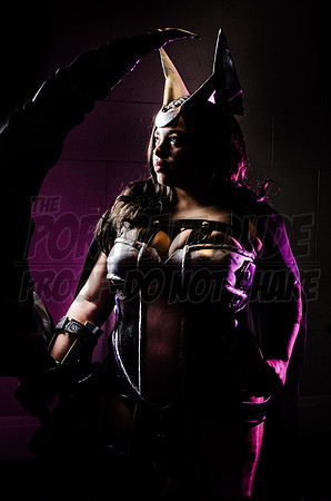 TPD_1719-2