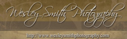 wspbannersmall
